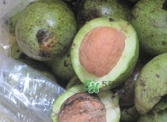 青皮核桃怎么保存？青皮核桃如何存放