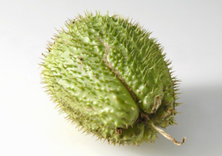 刺果番荔枝多少錢一斤？刺果番荔枝哪里有賣？