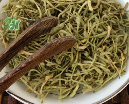 金銀花茶苦嗎？喝金銀花茶需要注意什么