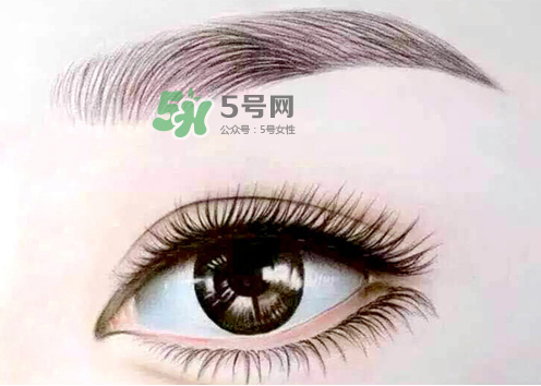 三伏天能紋眉嗎？三伏天紋眉毛好嗎？