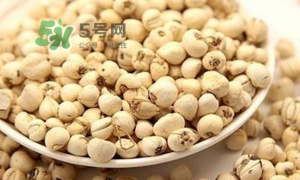 川貝母可以直接吃嗎？川貝母可以泡水喝嗎