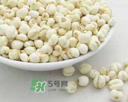 川貝母是川貝嗎？川貝母是酸性還是堿性？