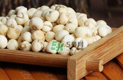 川貝母可以直接吃嗎？川貝母可以泡水喝嗎