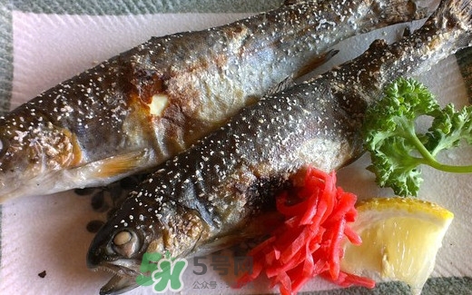 鱒魚是三文魚嗎？鱒魚是什么魚