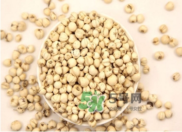 川貝母是苦的嗎？川貝母是涼性的嗎