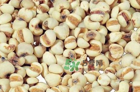 川貝母可以直接吃嗎？川貝母可以泡水喝嗎