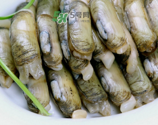 蟶子怎么抓？孕婦能吃蟶子嗎