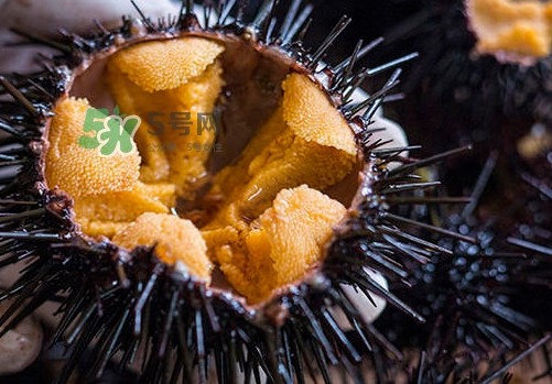 海膽可以冷凍儲存嗎？什么人不能吃海膽