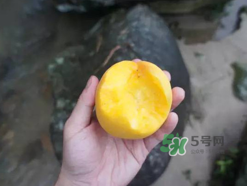 炎陵黃桃什么時(shí)候成熟？炎陵黃桃好吃嗎？