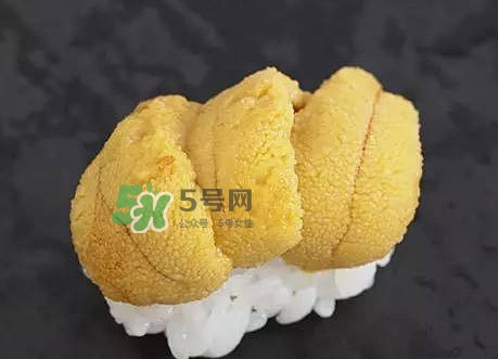 海膽怎么處理？海膽可以生吃嗎？