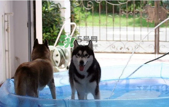 2017年8月份熱嗎？2017年陰歷八月份熱嗎？