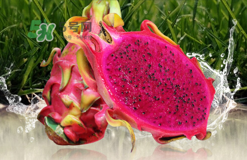 紅心火龍果可以減肥嗎？紅心火龍果能減肥嗎？