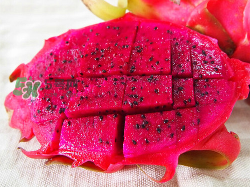 紅心火龍果可以減肥嗎？紅心火龍果能減肥嗎？