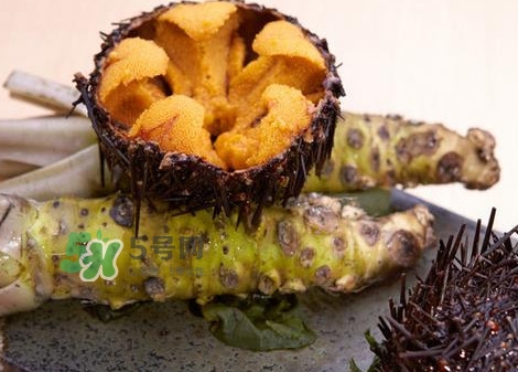 被海膽刺到怎么辦？吃海膽對身體有什么好處