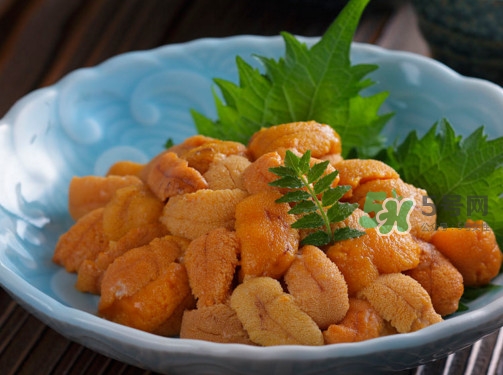 海膽怎么做好吃？買海膽怎么挑