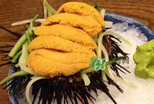 海膽黃一次吃多少克合適？海膽里面黑色的能吃嗎