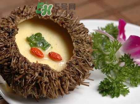 海膽死了還能吃嗎？海膽不能跟什么一起吃