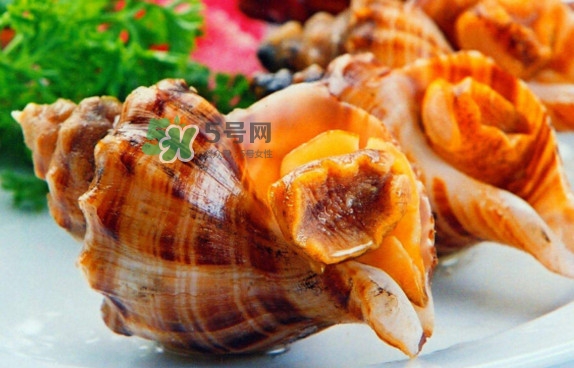 為什么海螺殼里面會(huì)有聲音？海螺和韭菜能不能一起吃