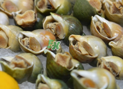 海螺怎么做好吃？海螺怎么清洗干凈