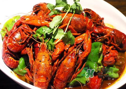 金蟬和蝦能一起吃嗎？孕婦吃完蝦能吃金蟬嗎？