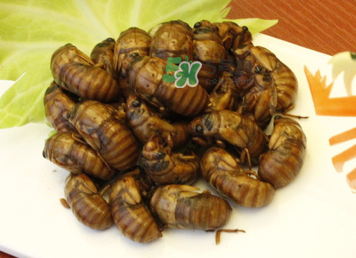 金蟬和蝦能一起吃嗎？孕婦吃完蝦能吃金蟬嗎？