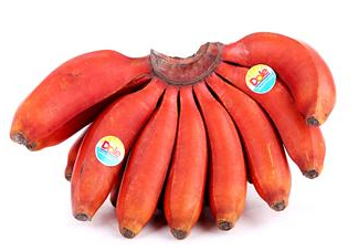 紅香蕉是哪里的特產(chǎn)？紅香蕉什么時候成熟？