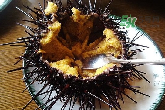 海膽黃一次吃多少克合適？海膽里面黑色的能吃嗎