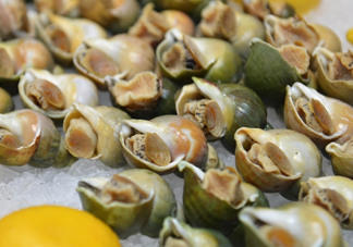 海螺怎么做好吃？海螺怎么清洗干凈