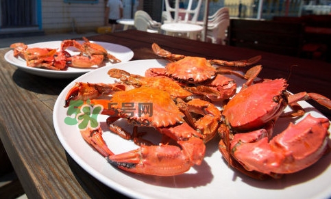 赤甲紅有母蟹嗎？赤甲紅為什么沒有母蟹？