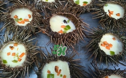 海膽死了還能吃嗎？海膽不能跟什么一起吃