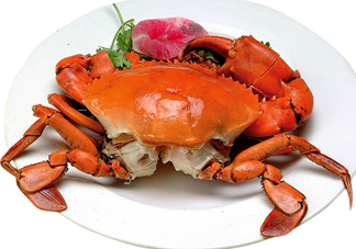 赤甲紅海蟹多少錢一斤？2017赤甲紅海蟹價格