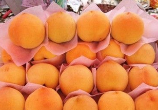 錦繡黃桃什么時(shí)候成熟？錦繡黃桃?guī)自鲁墒欤?><p><strong>錦繡黃桃什么時(shí)候成熟？錦繡黃桃?guī)自鲁墒欤?/strong></p></a></li> <li><a href=