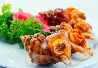 為什么海螺殼里面會(huì)有聲音？海螺和韭菜能不能一起吃