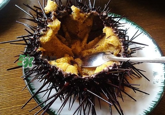 海膽有毒嗎？海膽有寄生蟲嗎