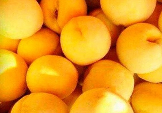 2017年炎陵黃桃多少錢一斤？炎陵黃桃為什么這么貴？