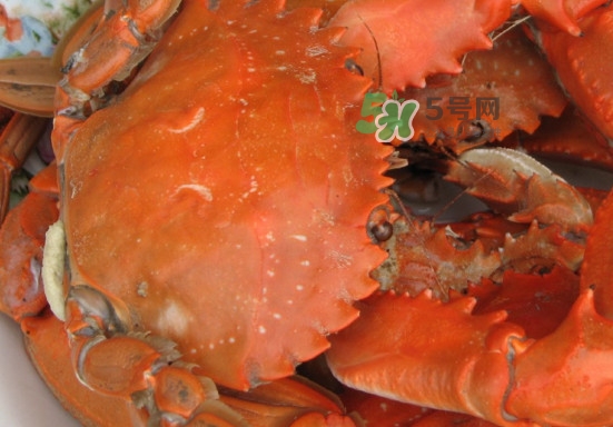 赤甲紅和花蓋是一種螃蟹嗎？赤甲紅海蟹什么時(shí)候肥