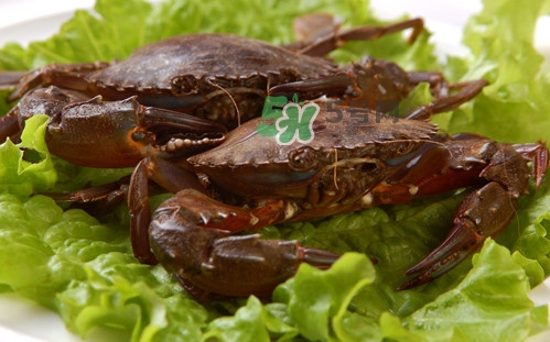 赤甲紅和花蓋是一種螃蟹嗎？赤甲紅海蟹什么時(shí)候肥