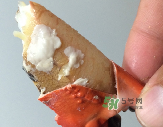 赤甲紅有母蟹嗎？赤甲紅為什么沒有母蟹？