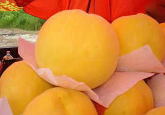 錦繡黃桃多少錢一斤？錦繡黃桃好吃嗎？