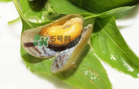 薄殼怎么讀？薄殼怎么洗干凈