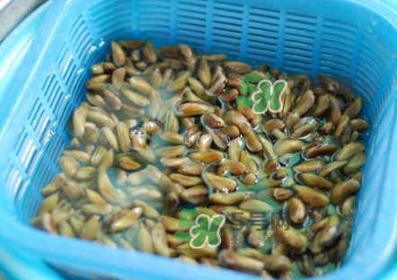 薄殼有寄生蟲嗎？薄殼米怎樣保鮮