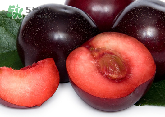 黑布林和火龍果能一起吃嗎？黑布林可以和火龍果一起吃嗎？