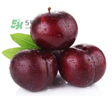 黑布林可以泡酒嗎？黑布林怎么吃？