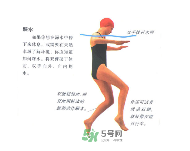 游泳怎么踩水？游泳踩水技巧圖解