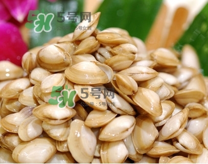 海瓜子怎么養(yǎng)？如何挑選海瓜子