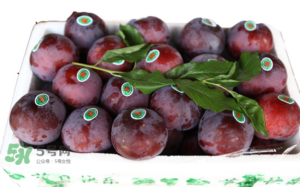 黑布林什么季節(jié)成熟？黑布林什么時(shí)候上市？