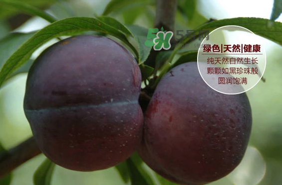 黑布林什么時候吃最好？黑布林什么人不能吃？