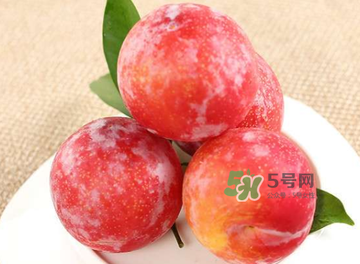 紅布林孕婦可以吃嗎？孕婦可以吃紅布林嗎？