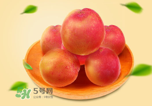 紅布林孕婦可以吃嗎？孕婦可以吃紅布林嗎？