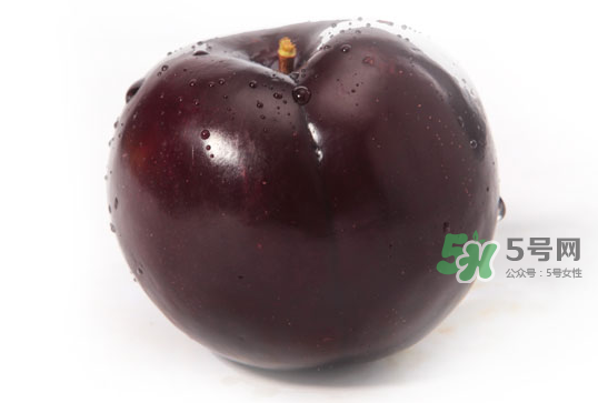 黑布李多少錢一斤？黑布李和紅布李哪個貴？